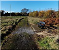 Pathside bench, Heol-y-cyw