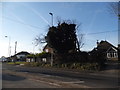 Houses on London Road, Old Basing