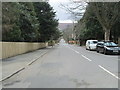 Middleton Avenue - viewed from Curly Hill