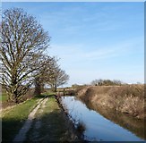 SP9012 : Wendover Arm - East of Drayton Beauchamp by Rob Farrow