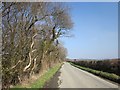 Road to Caudworthy Bridge