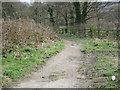 Footpath - Nesfield Road