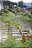 SJ2207 : Welshpool and Llanfair Railway in the town 1964 by Richard Bird