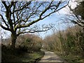 Lane to Warbstow Cross