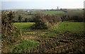 Field boundary near Nether Scarsick