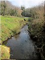 Laneside stream below Trewonnard