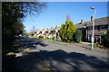 Houses on Park Lane, Cottingham