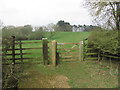 Down land path, part of Jurassic Way, south of Chacombe