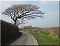 Footpath near Hendra