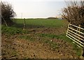 Farmland, Lower Exe