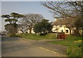 Houses at Week Green