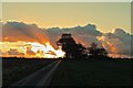 Farm track on Mowcroft Lane, Penketh