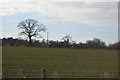 Farmland, High House Farm