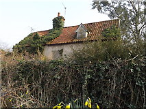 TM3569 : Derelict Cottage by Geographer