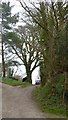 Footpath to North Hele and Westcott Farms