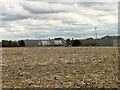 Nissen huts at Primrose Farm, Tibenham