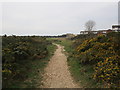 Open ground near Eastney