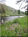 River Skirfare near Hawkswick