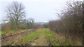 Footpath to Wychwood Forest