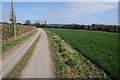 Daffodil Way near Shakesfield