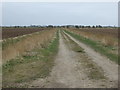 Farm track off Saddleback Road