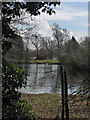 TL4649 : Whittlesford: Spicer's Lake by John Sutton