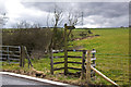 Footpath to Bent Farm