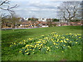 Thamesmead seen from near Lesnes Abbey