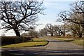 The road passing Rectory Farm