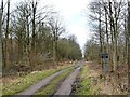 SE4135 : Private track into Parlington Estate's private woodland [1] by Christine Johnstone