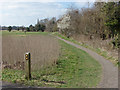 SU8346 : Bishop's Meadows, Farnham by Alan Hunt