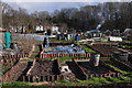 Bristol : Ashley Vale Allotments