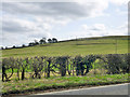 Old land slips, Waddesdon Hill