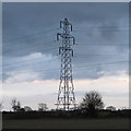 Pylon near Northlands Farm, Broad Street Green