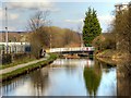 SE1537 : Leeds and Liverpool Canal, Dock Bridge (209) by David Dixon