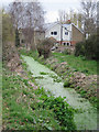 Drainage ditch by West Undercliff