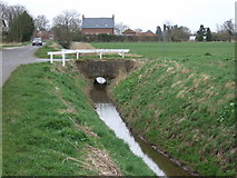 TF4289 : Drain beside North End Lane by JThomas