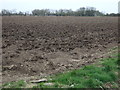 Farmland, Saltfleetby St Peter