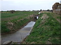 Drain near Sea View Farm