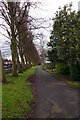 Path in Yardley Cemetery, Yardley, Birmingham
