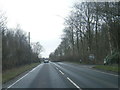 A596 at Cisswell Wood