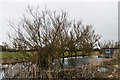 Chichester Ship Canal