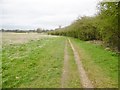 Woolwich Common, footpath