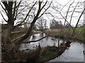 River Waveney