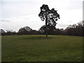 Redhill and Reigate Golf Course