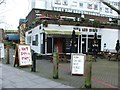 Paya and Horse, Battersea