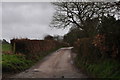 Mid Devon : Country Lane