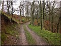 Path above Allerpark Combe