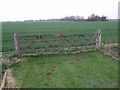 Field entrance off Thacker Bank, Theddlethorpe All Saints