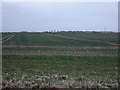 Farmland near Lapwing Farm